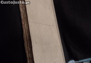 imagem_8