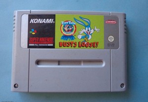 Jogo Super Nintendo (SNES) - Busts Loose!
