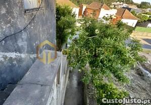 imagem_21