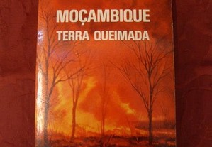 imagem_8