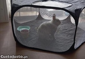 Recinto Brincar Gato Cão Coelho Cobertura Superior Animais Dobrável Respirável e Portátil Gatinhos, Coelhos, Hamsters NOVO