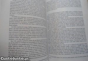 imagem_8
