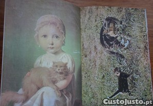 imagem_5