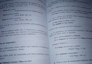 imagem_6