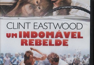 Dvd Um Indomável Rebelde - comédia - Clint Eastwood/ Beverly D'Angelo