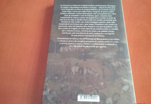 imagem_5