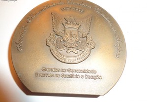 Medalha Bombeiros Voluntários de Arrifana Numerada