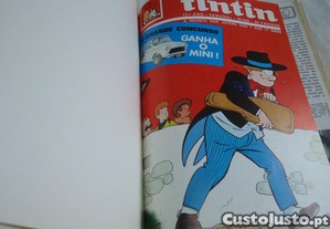 imagem_4