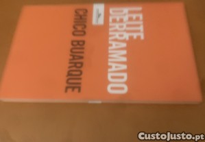 imagem_3