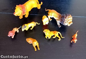 imagem_3