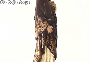 imagem_6