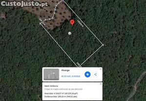 Terreno em Alvorge de 4550,00 m