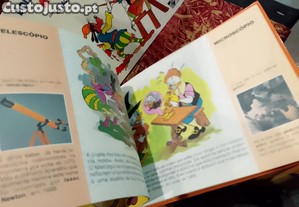 imagem_3