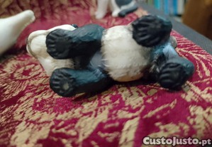 imagem_6