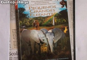 DVD Pequenos grandes elefantes
