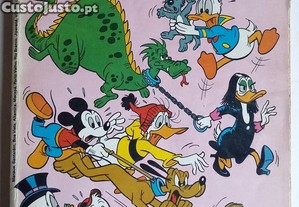 imagem_5