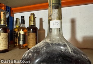 imagem_6
