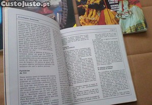 imagem_6