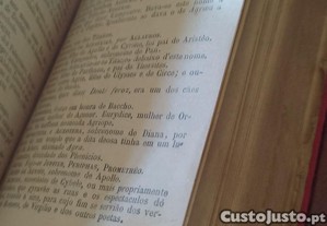 imagem_6