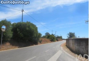 imagem_9