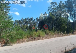 imagem_6