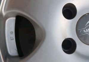 imagem_3