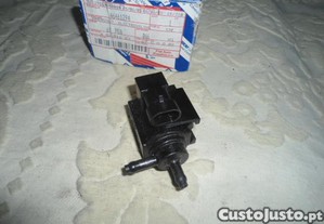 imagem_7