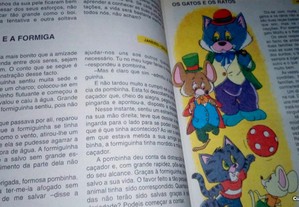 imagem_3
