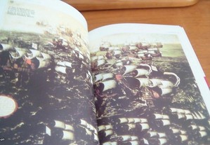 imagem_3