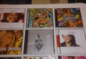 imagem_4