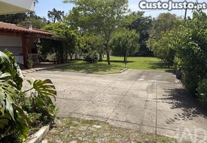 imagem_7