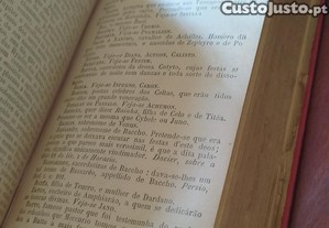 imagem_5