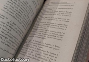 imagem_3