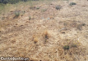 Terreno regadio junto ao Lugar de Santiago - Magueija
