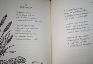 imagem_5