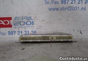 imagem_1