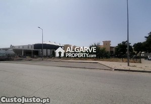 imagem_13