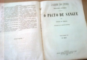 imagem_4