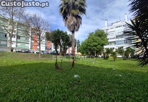 imagem_12