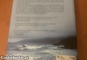 imagem_4