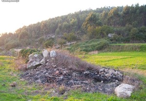 Terreno florestal e agrícola em Guimarães