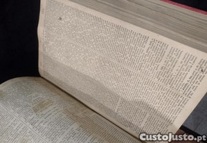 imagem_5