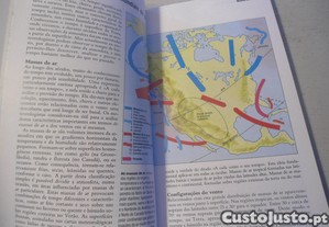 imagem_8