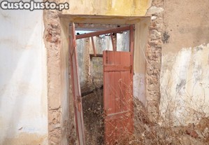 imagem_7