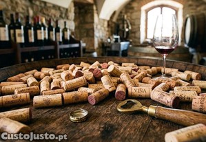 Lote Vinhos