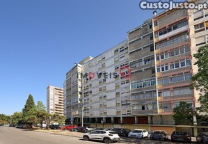 imagem_21