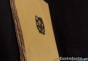 imagem_8