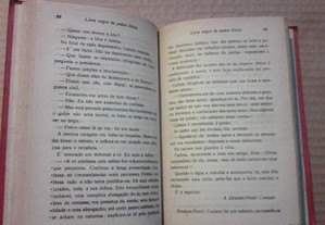 imagem_7