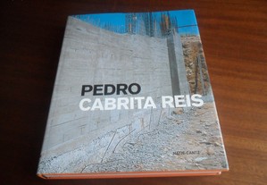 "Pedro Cabrita Reis" de Vários - 1ª Edição de 2003 - Livro em Inglês