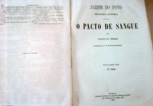imagem_5